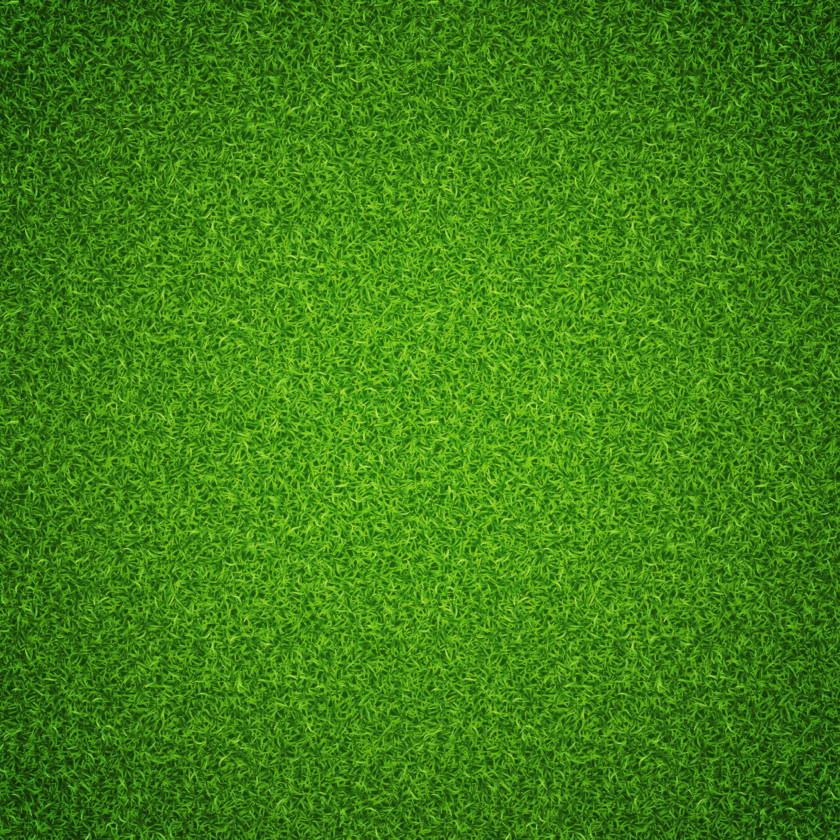 Green grass texture background.